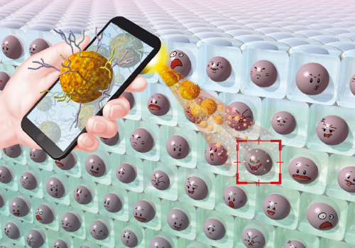 図２：携帯の顔認識のように糖鎖パターン認識で様々な疾患細胞を見分ける技術を開発